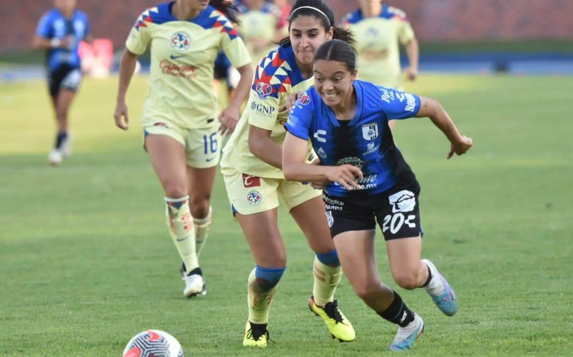 gallos femenil